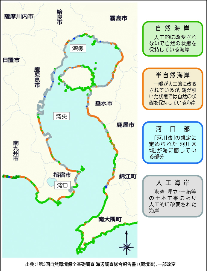 錦江湾の海岸の現状